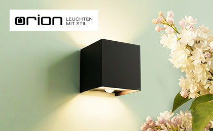 Orion Outdoor Orion Outdoor